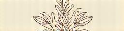 Seiryuu Flora Logo